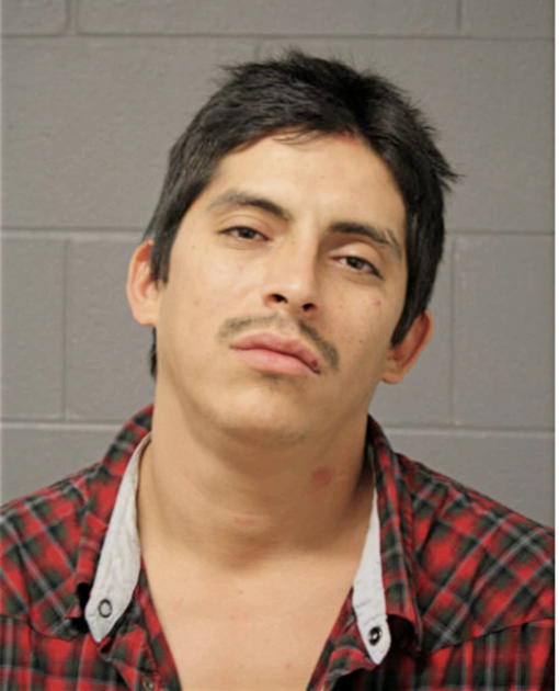 JUAN J TELLEZ, Cook County, Illinois