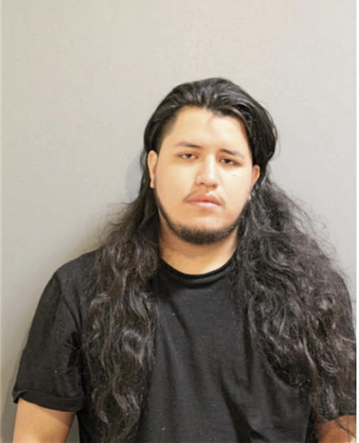 ANTONIO J VEGA, Cook County, Illinois