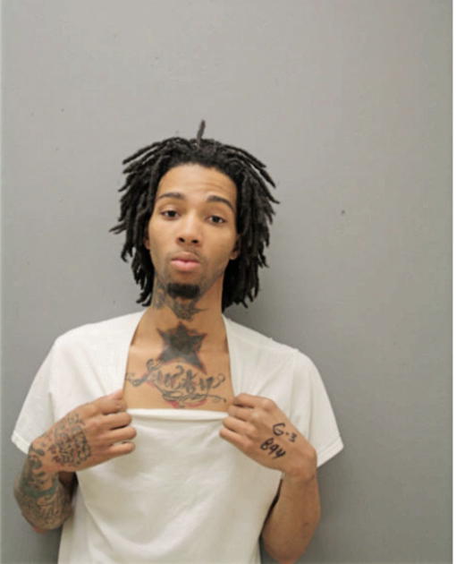 LIONEL P WILLIAMS, Cook County, Illinois