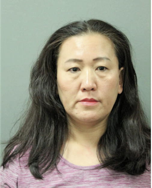 FENGYAN ZHU, Cook County, Illinois