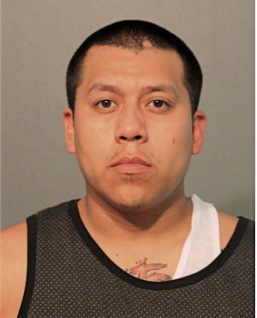 RICHARD ALCANTARA, Cook County, Illinois