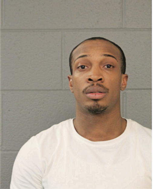 JAMES TL ANDREWS, Cook County, Illinois