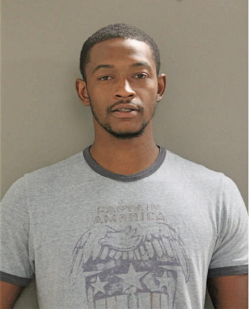 TERRY M AUSTIN, Cook County, Illinois