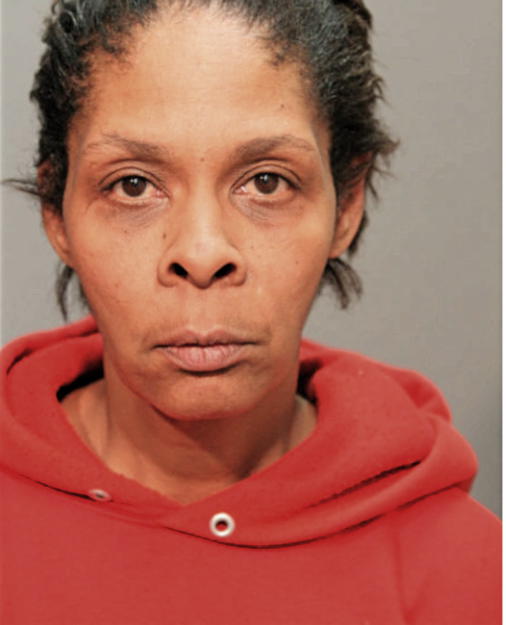PAMELA Y BAILEY, Cook County, Illinois