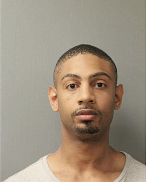 LEO L BAYLOR, Cook County, Illinois
