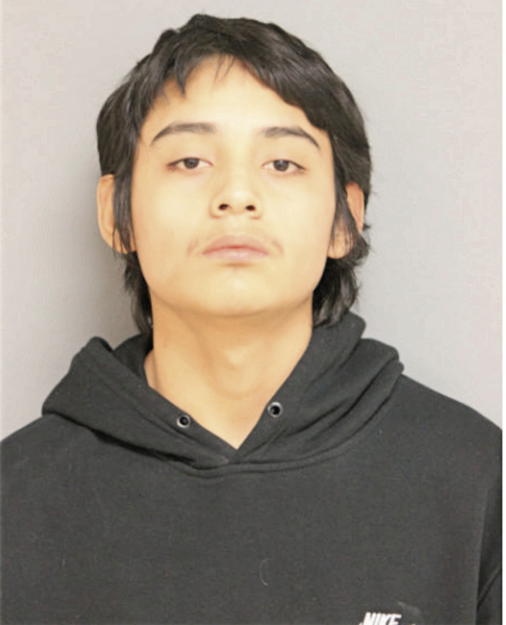 BRYAN BUSTOS, Cook County, Illinois