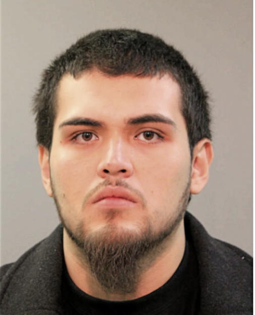 JOSE W CASTREJON-PINEDA, Cook County, Illinois