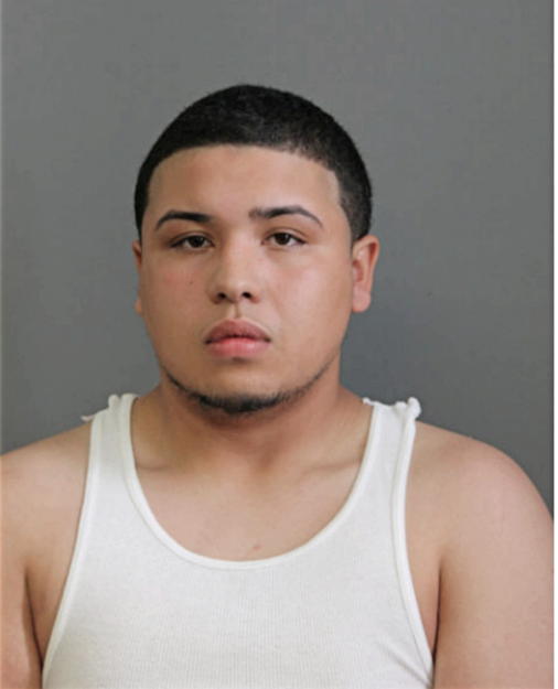 CARLOS F DEJESUS, Cook County, Illinois
