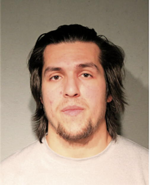 DEREK M DIAZ, Cook County, Illinois