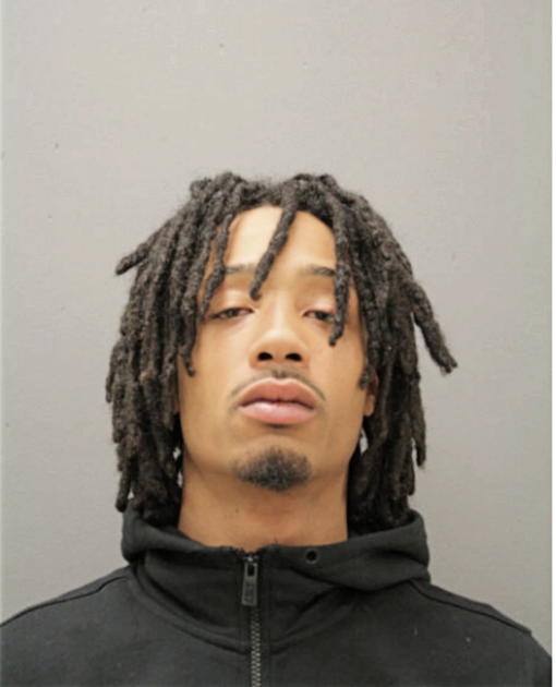 NATHAN M FIDLER, Cook County, Illinois