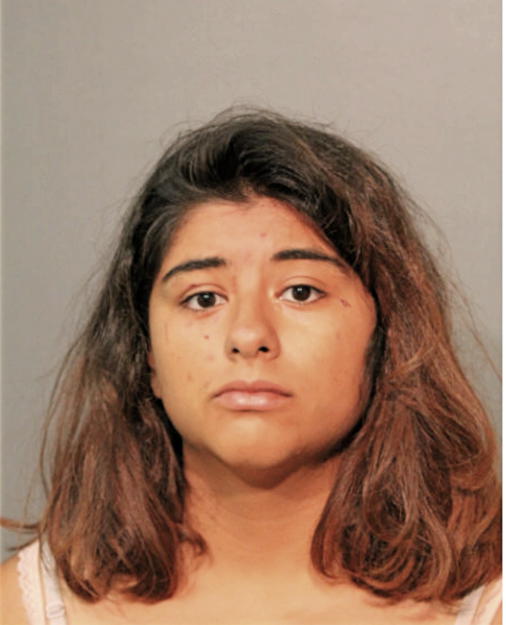 VIVIANA GALVAN, Cook County, Illinois
