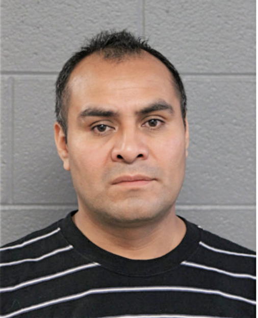 ISMAEL GONZALEZ-MENDEZ, Cook County, Illinois