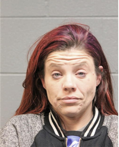 KATIE A JARES, Cook County, Illinois