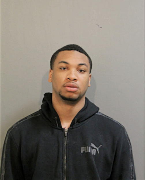 TERRANCE A JONES, Cook County, Illinois