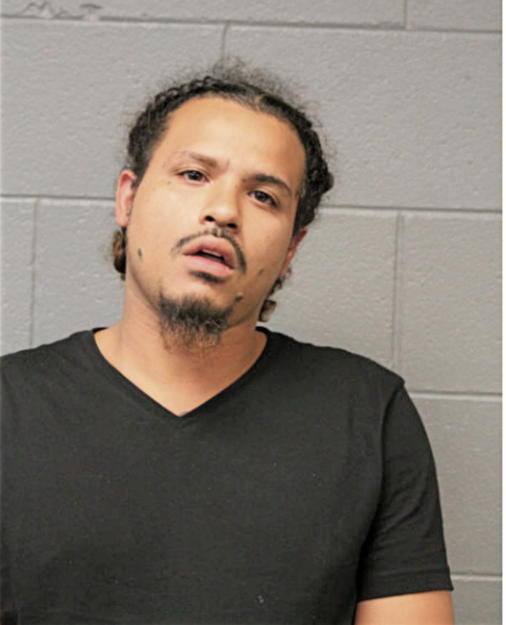 TOBY LOWE JR JONES, Cook County, Illinois