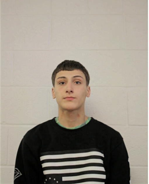 JULIAN J KAMBER, Cook County, Illinois
