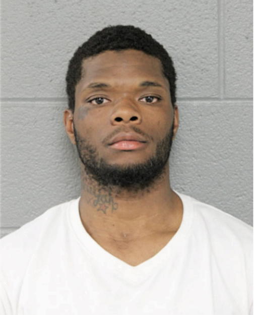 DANIEL J ROWE, Cook County, Illinois
