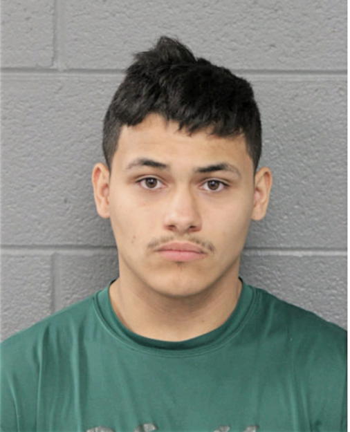 ESTEBAN RUIZ, Cook County, Illinois