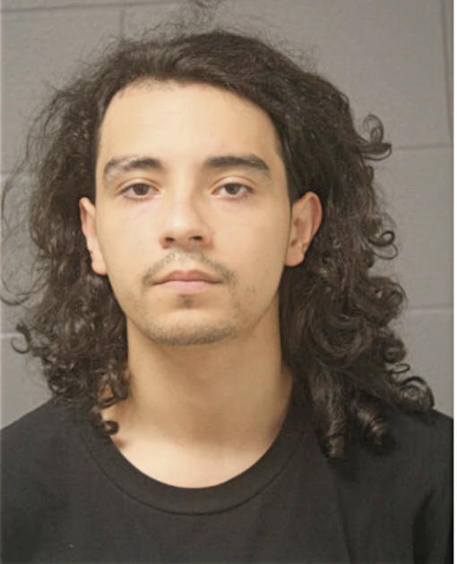ADRIAN SARINANA, Cook County, Illinois