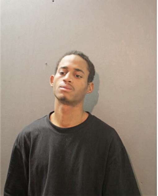 DIONTE L VAUGHNS, Cook County, Illinois