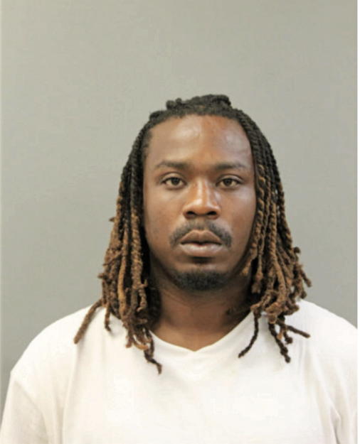 STEVEN T WILLIAMS, Cook County, Illinois