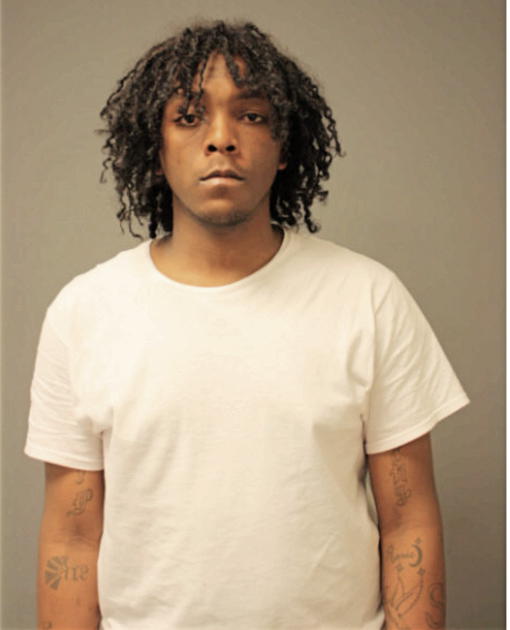 MYRON K YOUNG, Cook County, Illinois