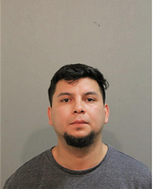 ELMER Q BONILLA, Cook County, Illinois
