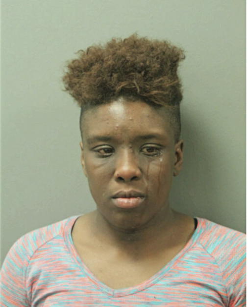 AMBER S COWIN, Cook County, Illinois