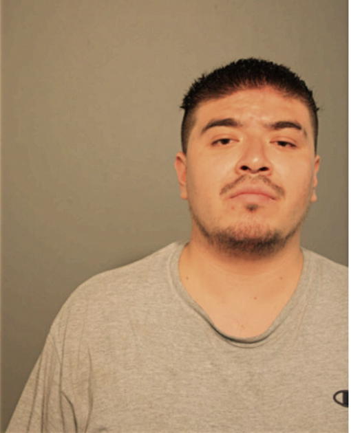 RICARDO DELGADO-HERNANDEZ, Cook County, Illinois