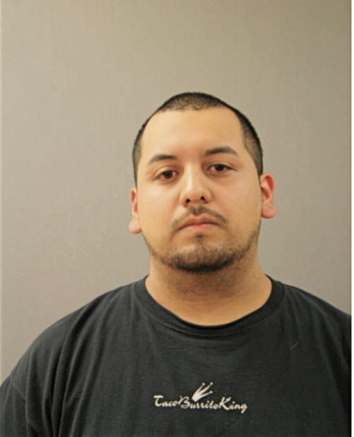 RAUDEL FLORES, Cook County, Illinois