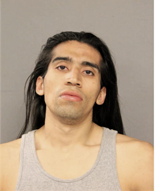 JESUS A HERNANDEZ, Cook County, Illinois