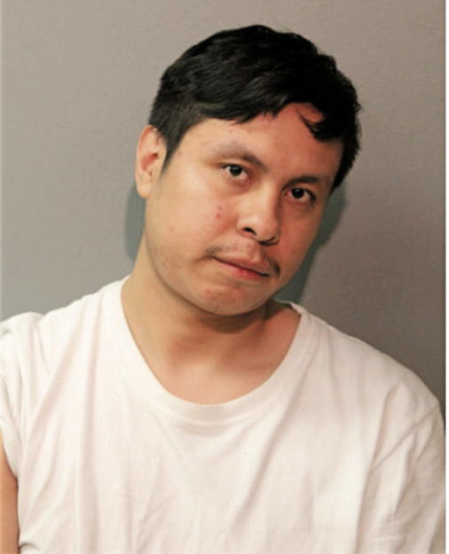 ENRIQUE JAIMES, Cook County, Illinois