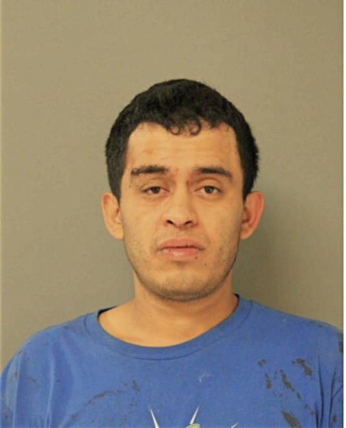 EDGAR E JUAREZ, Cook County, Illinois