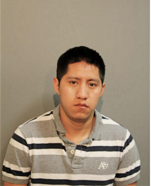 DIEGO DANIEL MEJIA, Cook County, Illinois