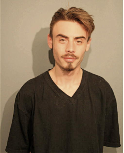 DAVID MICHAEL BOSHES, Cook County, Illinois