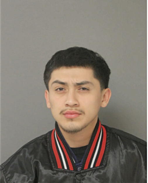 JOSE L RICO, Cook County, Illinois
