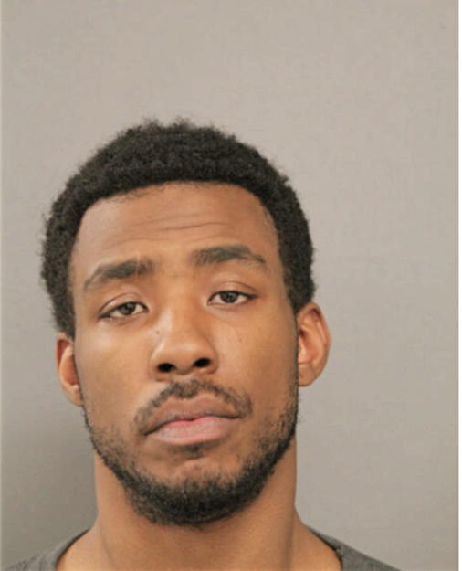 NICHOLAS T ROGAN, Cook County, Illinois
