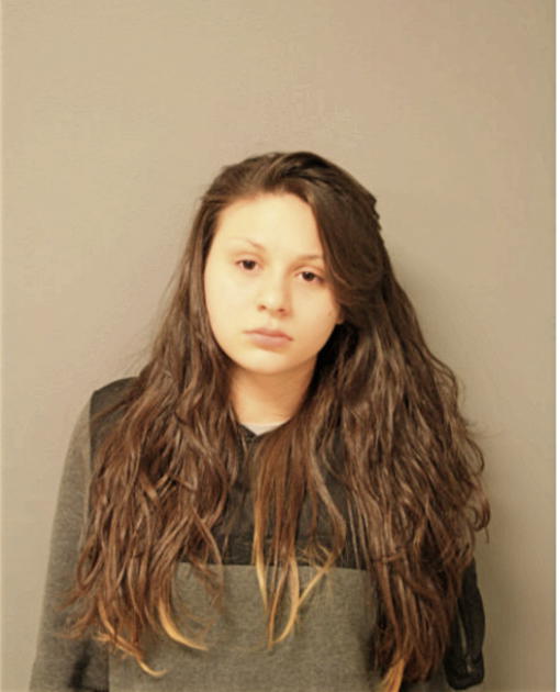 VANESSA P SALINAS, Cook County, Illinois
