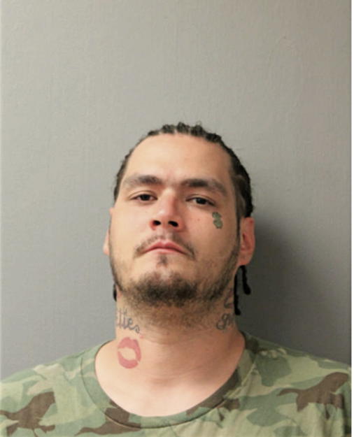 JOHN P WEBSTER, Cook County, Illinois