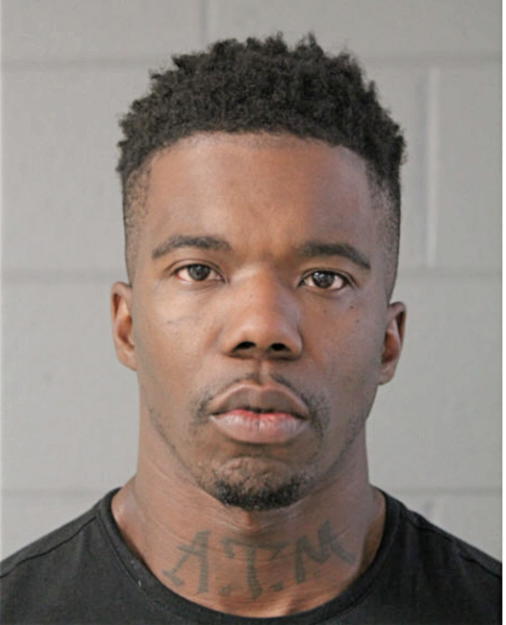 RAPHAEL D YOUNG, Cook County, Illinois