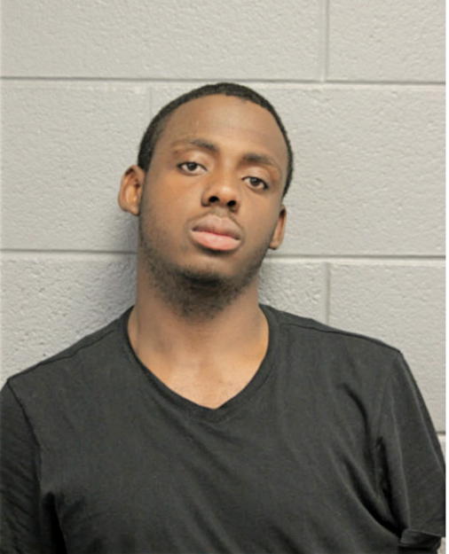 RAYVON X ALLISON, Cook County, Illinois