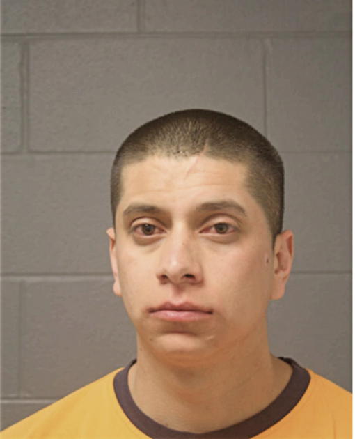 ADAN ANDRADE-CAMPOS, Cook County, Illinois