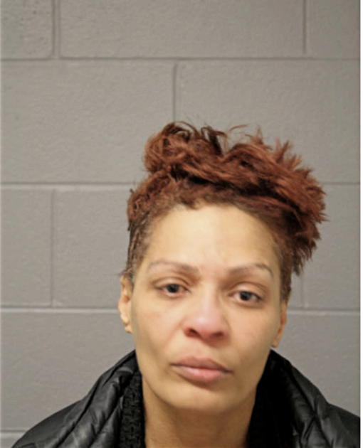 KAREN M BRANNON-THOMAS, Cook County, Illinois