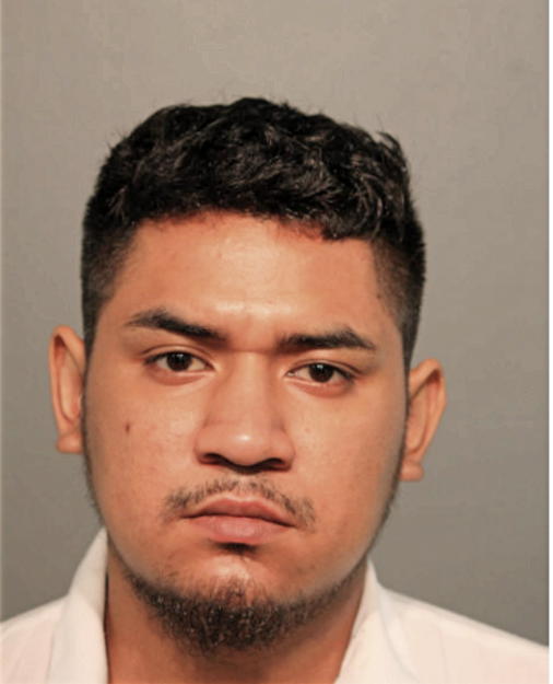 DONACIANO CHAVEZ-BIBIANO, Cook County, Illinois