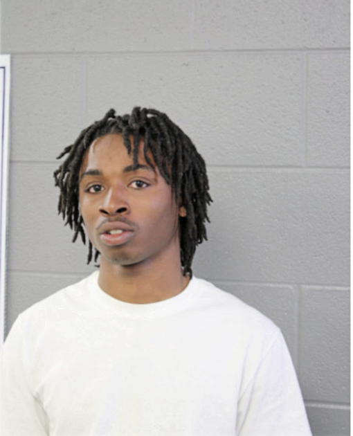 TERRANCE D COOK, Cook County, Illinois