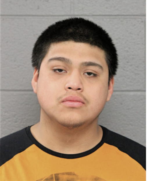 JOEL DOMINGUEZ, Cook County, Illinois