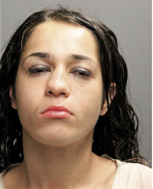 SINEM L ERGUL, Cook County, Illinois