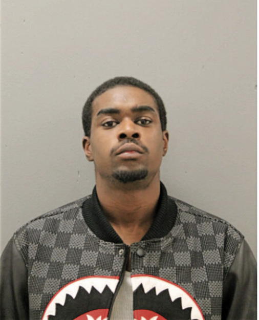 DE ANDRE G WILSON, Cook County, Illinois