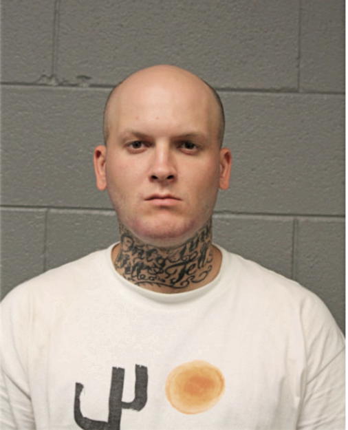 AARON J GREGORY, Cook County, Illinois