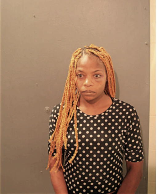 NATASHA N JONES, Cook County, Illinois